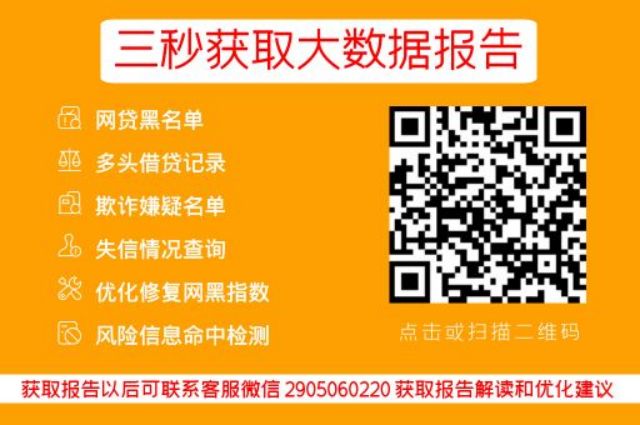 揭秘个人网贷大数据查询，免费服务背后的真相_早知数据_第3张